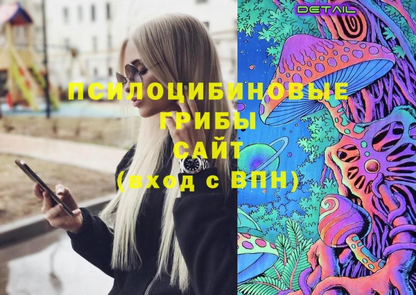 шишки Армянск