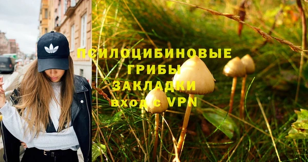 spice Аркадак