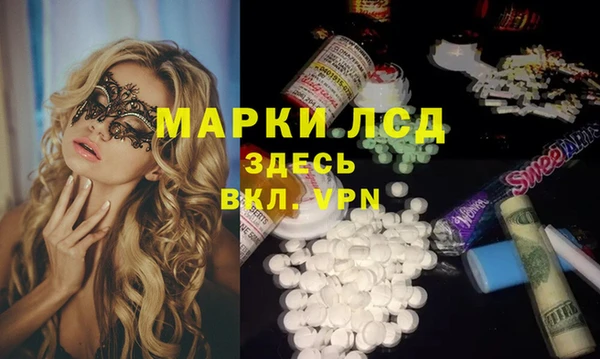 шишки Армянск