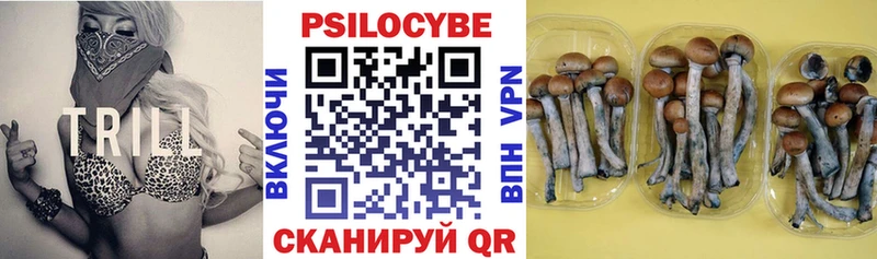 Галлюциногенные грибы прущие грибы Большой Камень